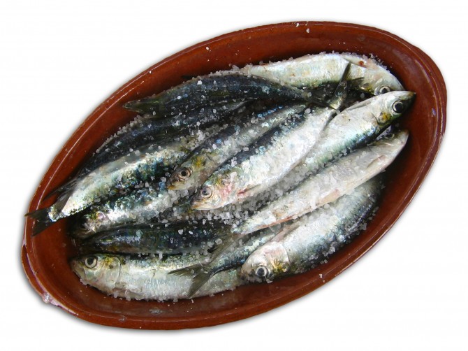 Enterrament de la sardina