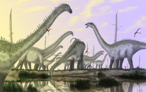 Per què no podem ser tan alts com els dinosaures?