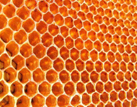 Per què les abelles fan els panells de la mel de forma hexagonal?