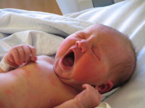 Per què els bebès humans són tan indefensos al néixer?